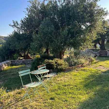 Casa de Férias Konoba Supetarska Draga