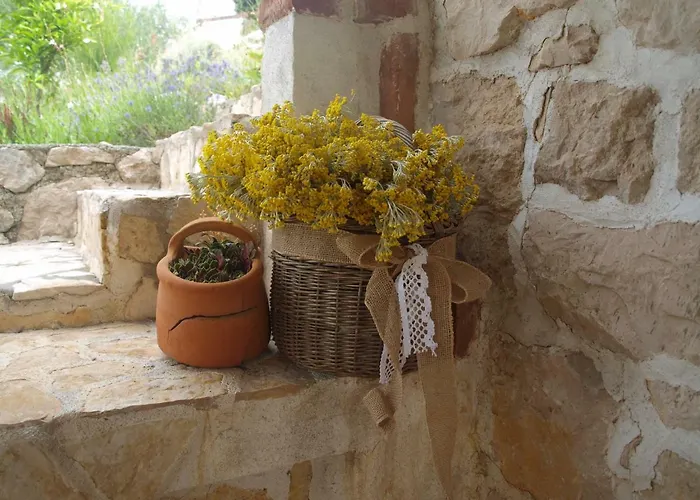 Konoba Supetarska Draga