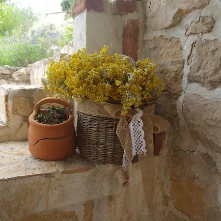 Konoba Supetarska Draga